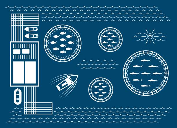 Fish farming technology illustration Fish farming. Farmed aquaculture meal technology vector illustration, salmon cages and harvest vessel sea farm industry equipment and maintenance images commercial tuna fishing stock illustrations
