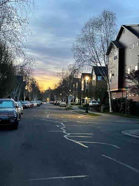 istock Dawn in a residential area 1343442747