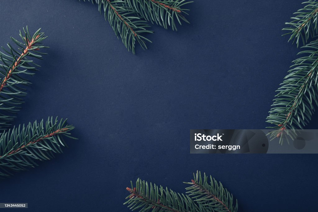 Christmas background with fresh pine branches on blue Christmas background with fresh pine branches arranged around the sides as a border on blue with central copyspace for holiday greetings Advent Calendar Stock Photo