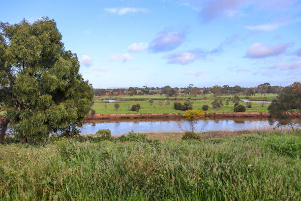 istock landscape of river and trees 1343449502