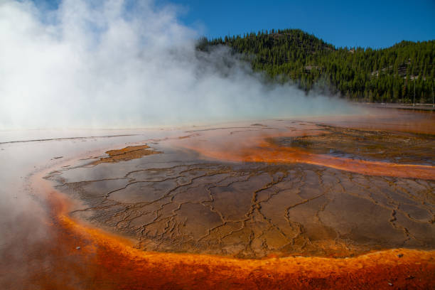 istock Grand Prismatic Spring hot water runoff at Midway geyser basin 1343451331