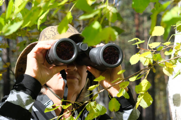 istock Active senior woman with binoculars in the forest 1343456646