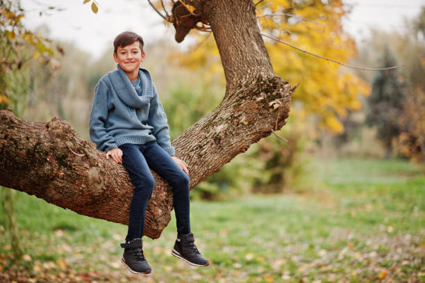 istock Young boy sitting on tree at autumn park. 1343459336