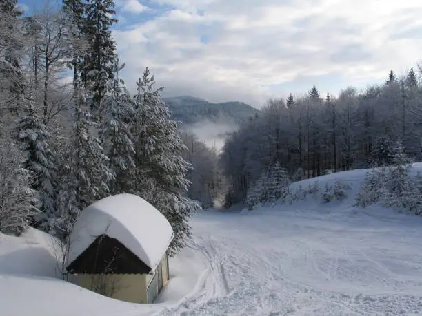 Winter landscape on Unterberg, Austria, Europe