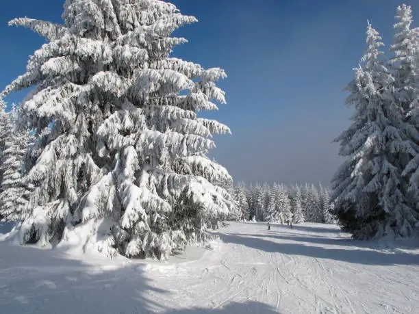 Winter at the Unterberg in Lower Austria, Austria, Europe