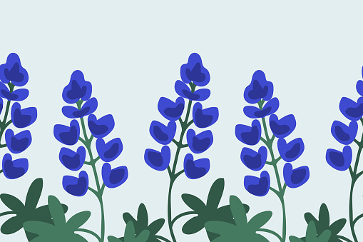 Blue lupine seamless vector background