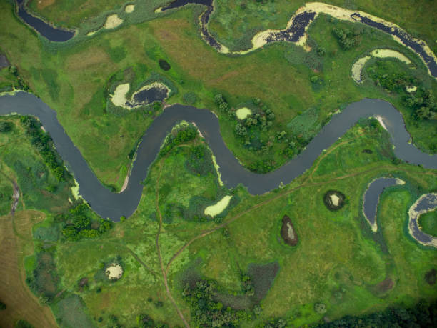 istock Aerial view over the river which is on the green forest. 1343471092