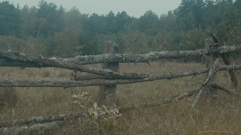 Old wooden fence in the village.