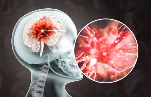 istock Sending chemical and electrical signals in a synapse and neuron. 3d illustration 1343477201
