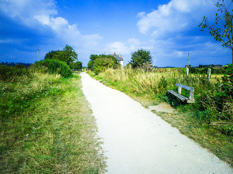 Footpath track trail Cotswolds trees. A sunlight scenic landscape generic season image, on a sunny warm day in summer.