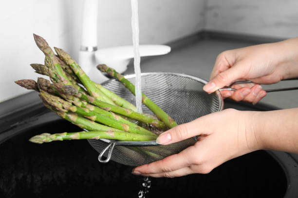 Woman washing fresh raw asparagus over sink, closeup Woman washing fresh raw asparagus over sink, closeup eating asparagus stock pictures, royalty-free photos & images