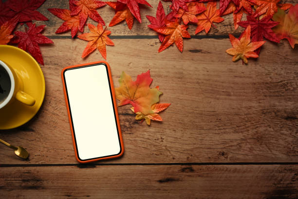 istock Mock up smart phone, coffee cup and autumn maple leaves on wooden table. 1343479042
