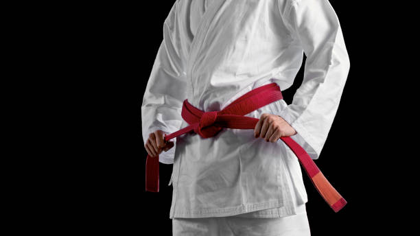 istock Male karate player standing against black background 1343482329