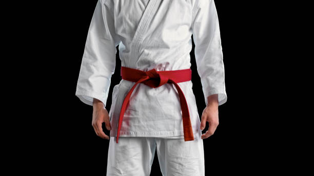 istock Male karate player standing against black background 1343482343
