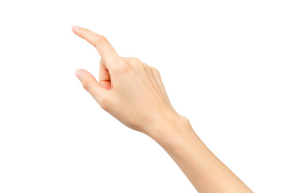 istock Closeup of hand pointing or touching at something on isolated background with clipping path. 1343489289