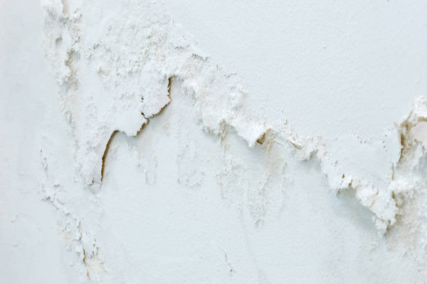 istock White wall paint peeling. Concrete wall after flood. 1343490398