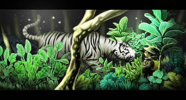 흰 벵골 호랑이, 어린이 일러스트 아트 워크, 숲 장면에 점점 더 가까이 - tiger zoo animal awe stock illustrations