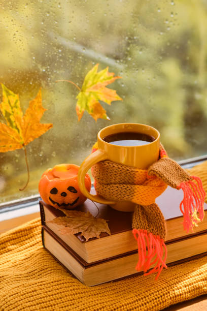 istock Background with books, cup of tea, pumpkin 1343492201