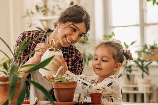 Mixed race family young happy woman and her daughter is planting and watering houseplants at home.Home gardening.Family leisure, hobby concept.Biophilia design and urban jungle concept.