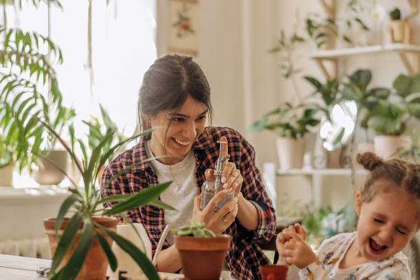 giovane donna felice di razza mista con una figlia piccola sta piantando piante d'appartamento a casa e divertendosi a spruzzare acqua. giardinaggio domestico. tempo libero familiare, concetto di hobby. design biofilia e concetto di giungla urbana - gardening women people planting foto e immagini stock