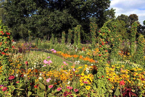 istock Garden path through the beautiful flower garden 1343492927