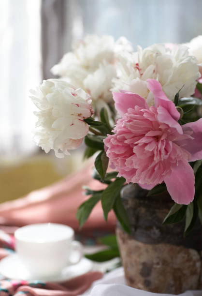 istock Still life with white and pink peonies 1343495521