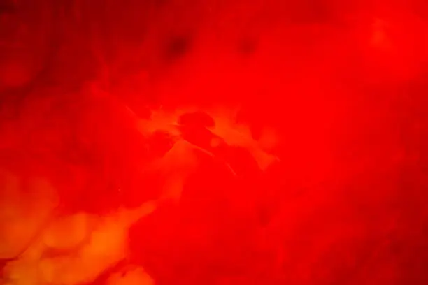 Photo of Abstract background  of red colour to a milk mixture.