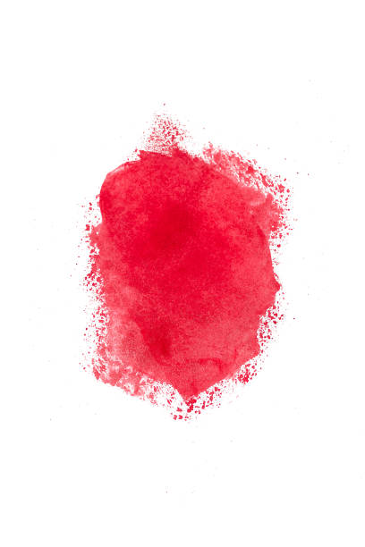 istock Watercolor hand-painted isolated on white background. 1343495933