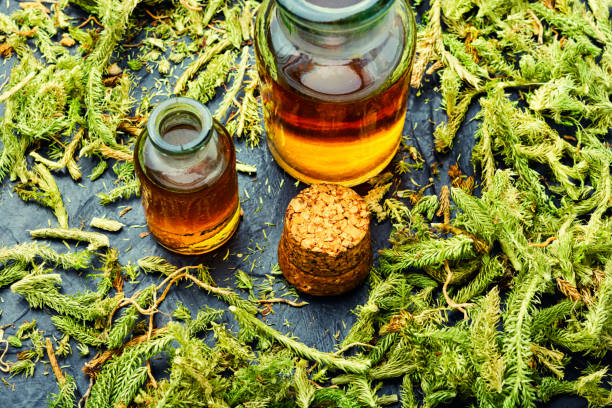 Lycopodium healing herbs Healing tincture in a bottle.Lycopodium healing herbs.Herbal medicine,lycopodiaceae lycopodiaceae stock pictures, royalty-free photos & images