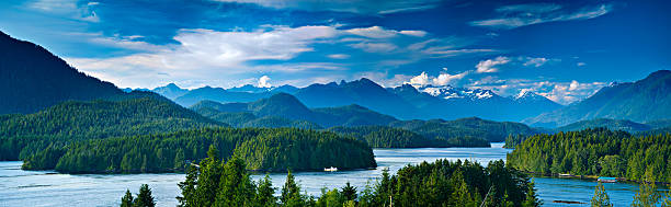 Panoramic view of Tofino, Vancouver Island, Canada Panoramic view of Tofino.  The sleepy village of Tofino on the West coast of Vancouver Island is now becoming a hot spot for tourism and second homes. vancouver island photos stock pictures, royalty-free photos & images