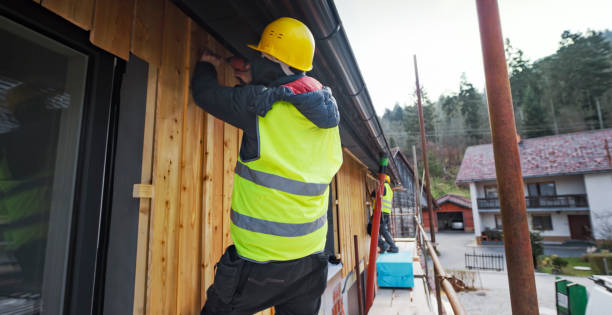 istock Construction workers attaching wooden planks on the facade 1343498824