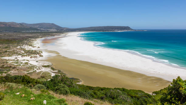 istock Long Beach in Cape Town, South Africa 1343498984