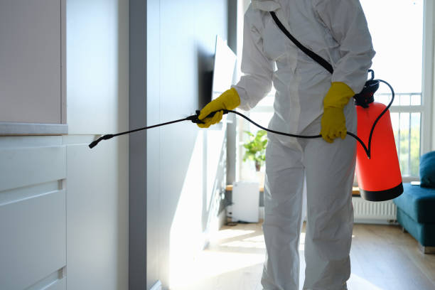 istock Worker in protective overalls and gloves disinfecting apartment 1343503241