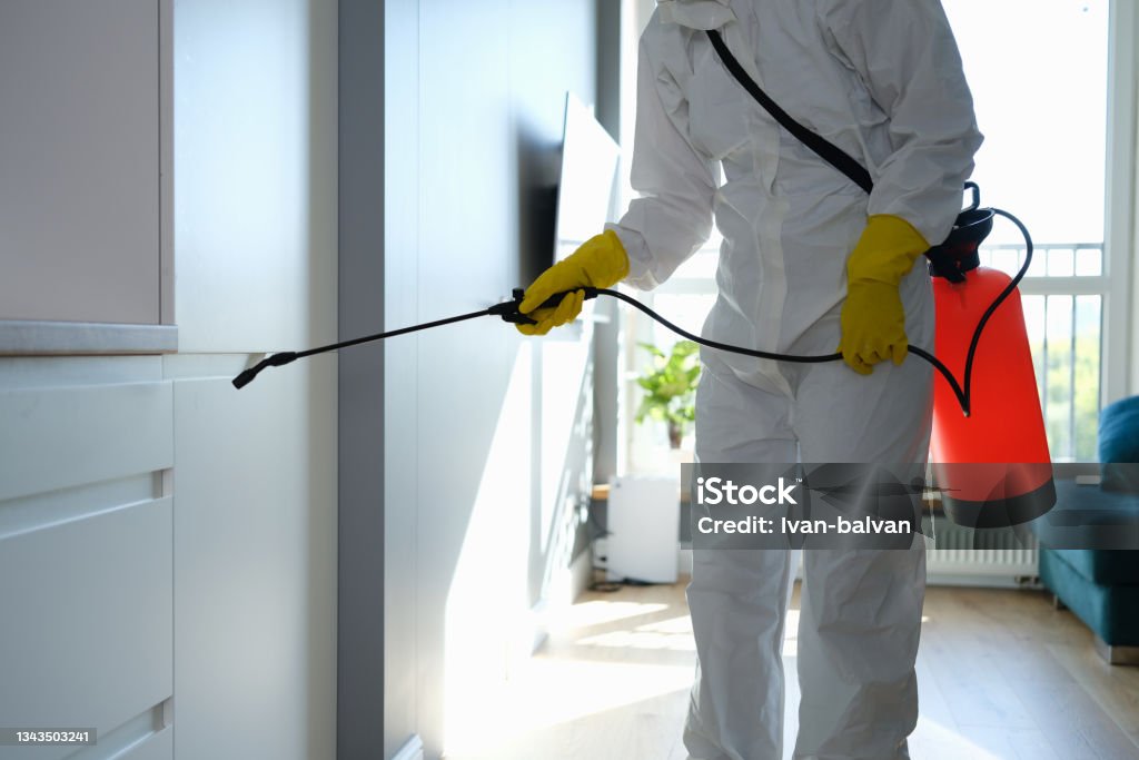 Worker in protective overalls and gloves disinfecting apartment Worker in protective overalls and gloves disinfecting apartment. Disinsection concept Exterminator Stock Photo