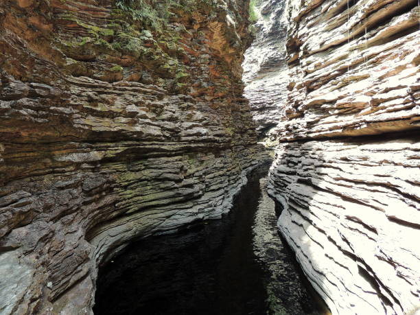 istock Wonderful dark waterfall pool in Chapada Diamantina, Brazil 1343503376