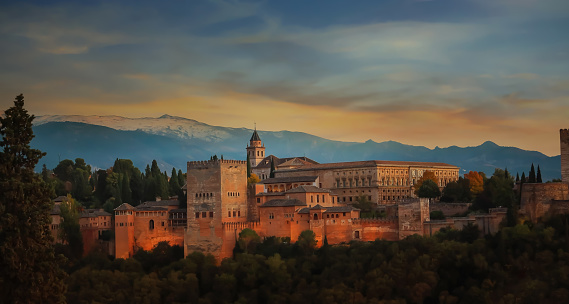 The Royal palaces of the Alhambra