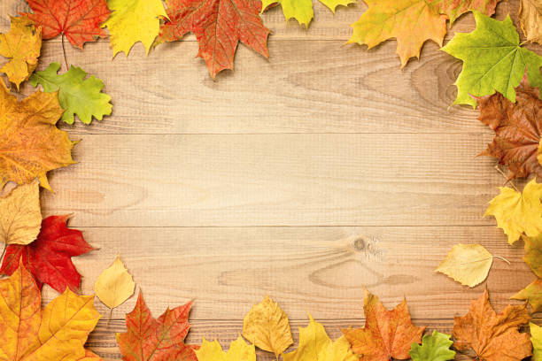 istock autumn leaves on a wooden table 1343505184