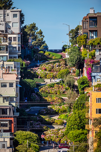 view of Lombard street in the morning in San Francisco
