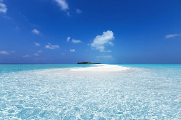 istock Maldivian sandbank in Indian ocean 1343507052