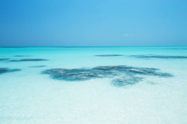 istock Panorama of beach and sea view 1343507185