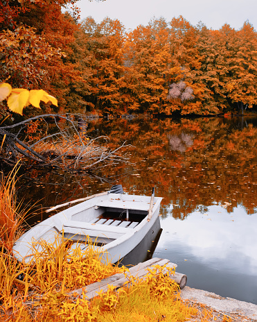 Autumn landscape boat on the shore of a forest lake
