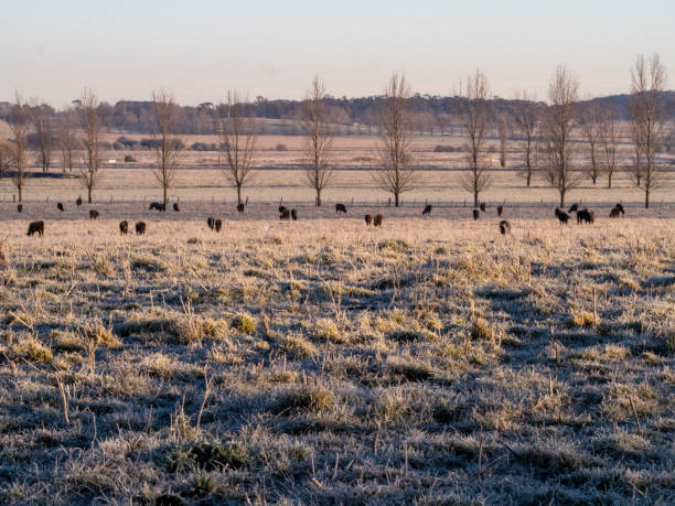 istock New England Winter Landscape 1343508202