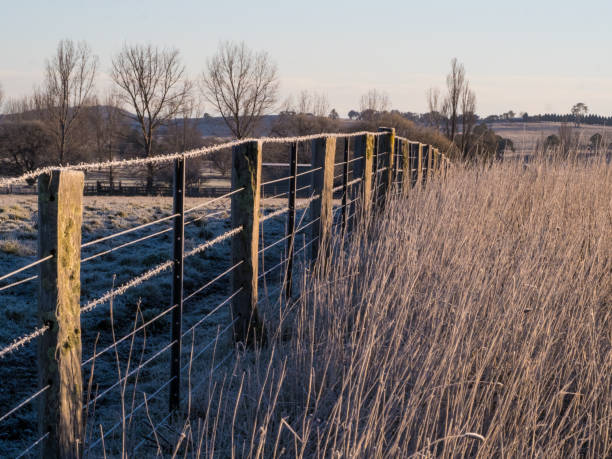 new england winter landscape - barbed wire rural scene wooden post fence imagens e fotografias de stock
