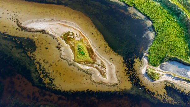 istock Salt marsh and coastline  - aerial view 1343508645
