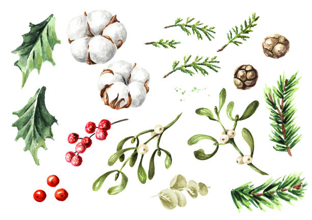 istock Winter bouquet elements set. Hand drawn watercolor  illustration isolated on white background 1343511688