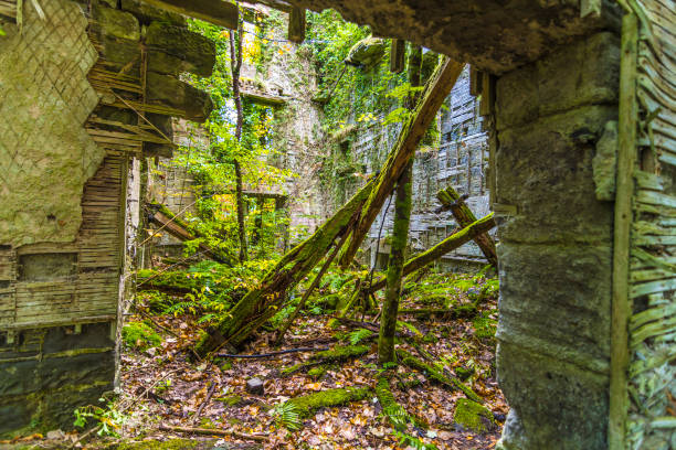istock Abandoned Haunted Buchanan Castle Scotland 1343511873