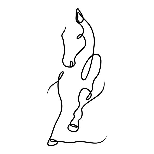 Running black line horse on white background Running black line horse on white background. Vector graphic icon animal. Vector illustration EPS.8 EPS.10 horse outlines silhouette stock illustrations