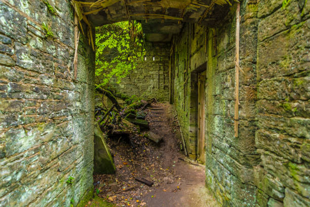 istock Abandoned Haunted Buchanan Castle Scotland 1343512076
