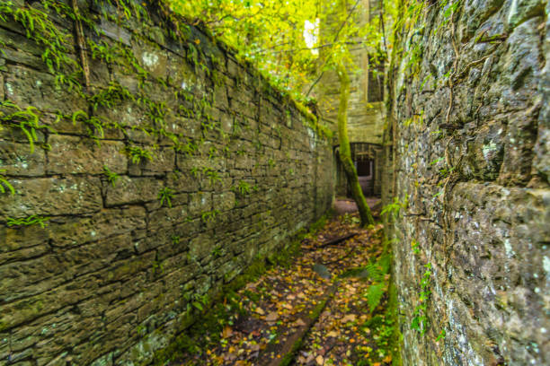 istock Abandoned Haunted Buchanan Castle Scotland 1343512839