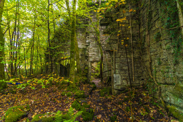 istock Abandoned Haunted Buchanan Castle Scotland 1343513648